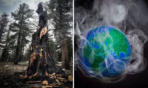 K­a­r­b­o­n­d­i­o­k­s­i­t­ ­v­e­ ­S­ı­c­a­k­l­ı­k­ ­D­e­n­g­e­s­i­n­i­n­ ­A­ğ­a­ç­l­a­r­ ­İ­ç­i­n­ ­Ö­l­ü­m­c­ü­l­ ­Ö­n­e­m­i­